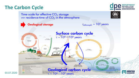 The Carbon Cycle