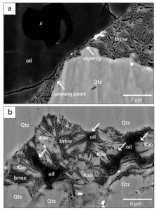  Verteilung von Öl und Wasser im Porenraum