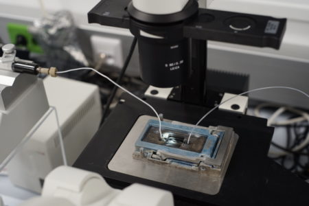 Experiment V, microfluidic chip
