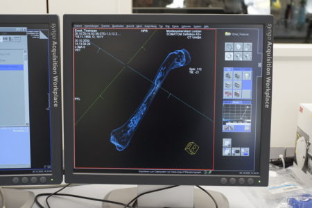 Experiment VI, CT scan of chicken bone