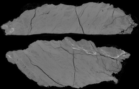 Micro-computed tomography image of a fault rock. Such highly deformed rocks are generated by tectonic movement in the subsurface and play an integral role for the migration and accumulation of hydrocarbons.