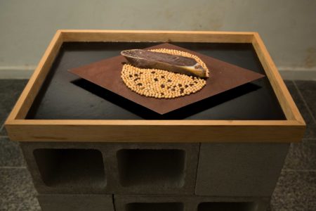 Mari Fraga, Exportação, wood, bitumen, coffee, soy, and meat, 60 x 40 x 10 cm, 2018